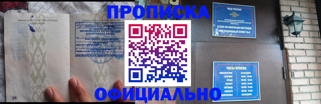 прописка поиск в Курчалом